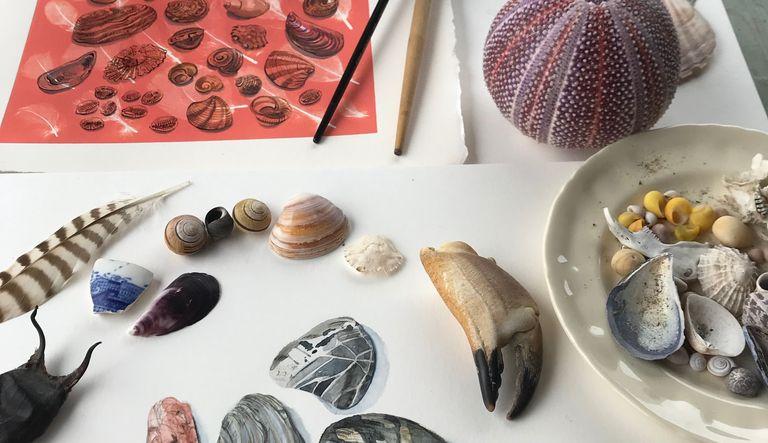 Shells and Pebbles (Summer Special Art Class)