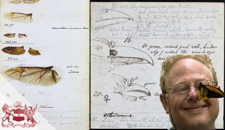 Linnean Lens: Wallace's Remarkable Discoveries in the 'Malay Archipelago'