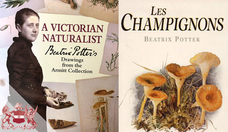 Beatrix Potter's Mycological Explorations