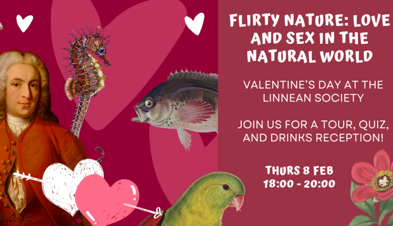 Flirty Nature: Valentine’s Day at the Linnean Society